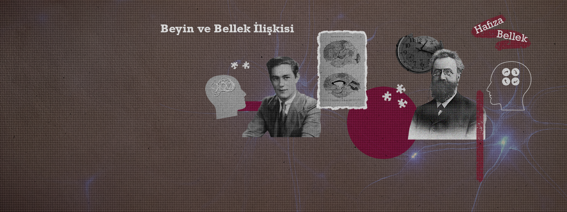 Öğrenmenin Nörobiyolojisi