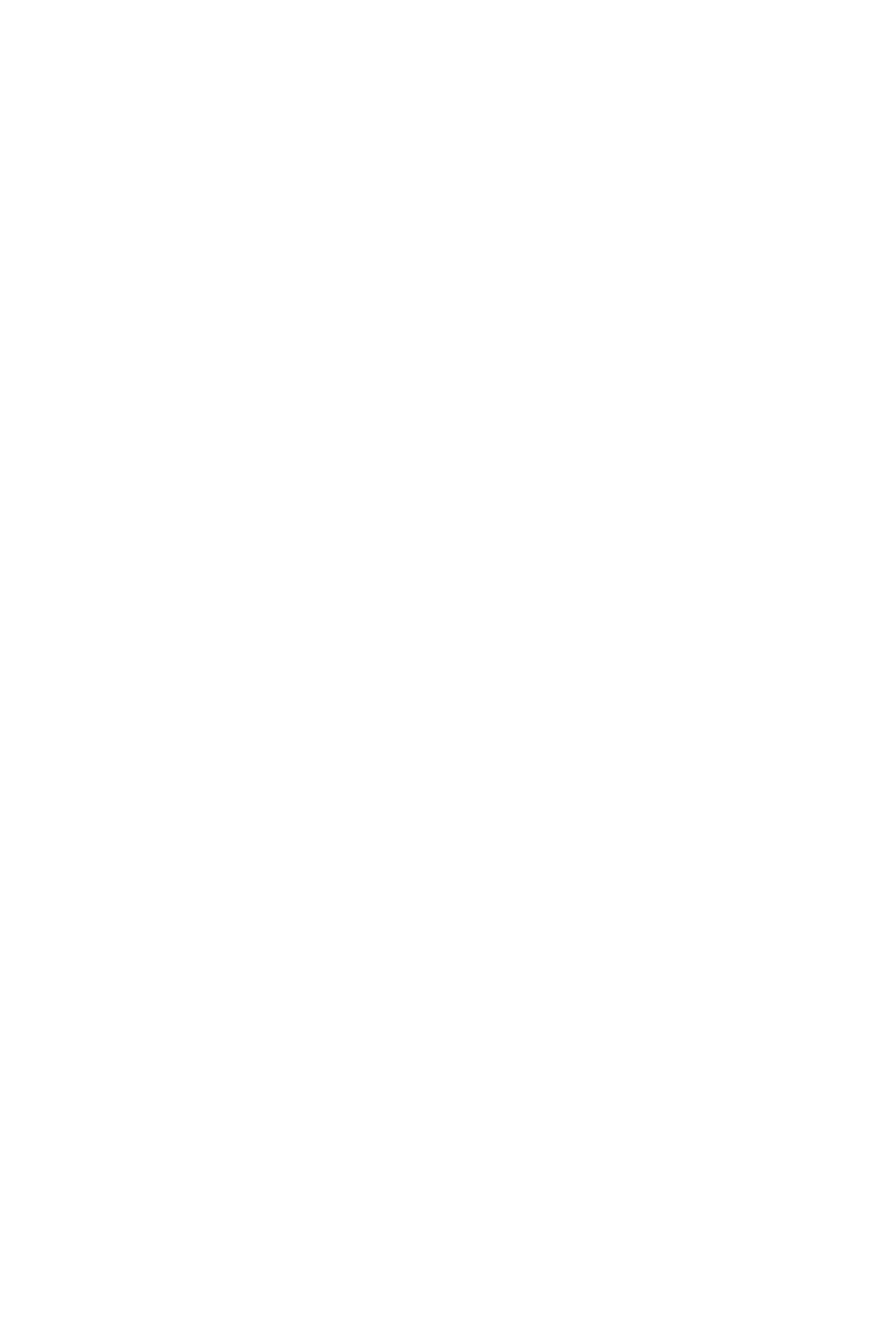 Beyin Nasıl Öğrenir?
